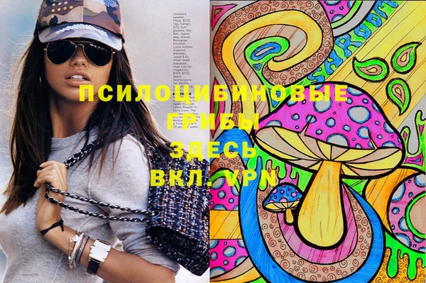 трава Абаза