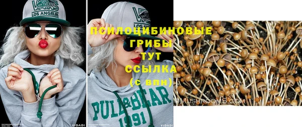 трава Абаза