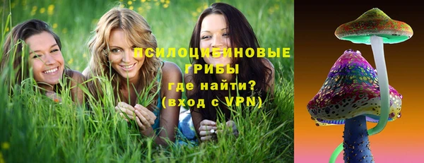 трава Абаза